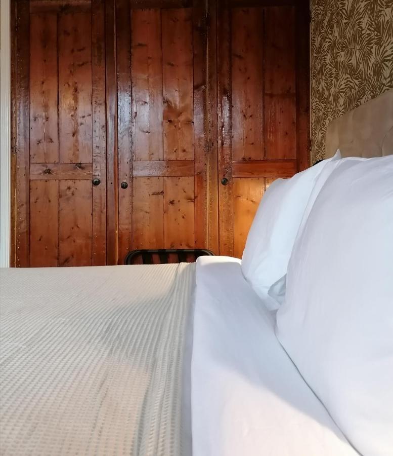 B&B De Stadssingel Steenwijk Ngoại thất bức ảnh