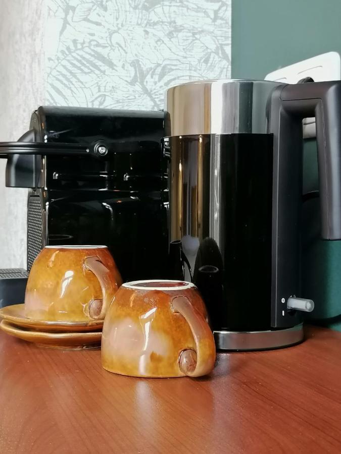 B&B De Stadssingel Steenwijk Ngoại thất bức ảnh